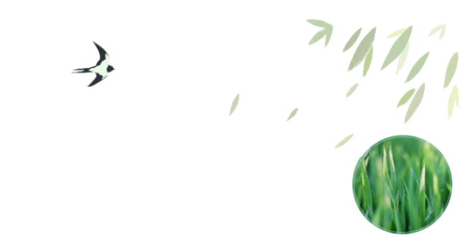 员工随笔丨抗“疫”过年，，各人都还好吗？