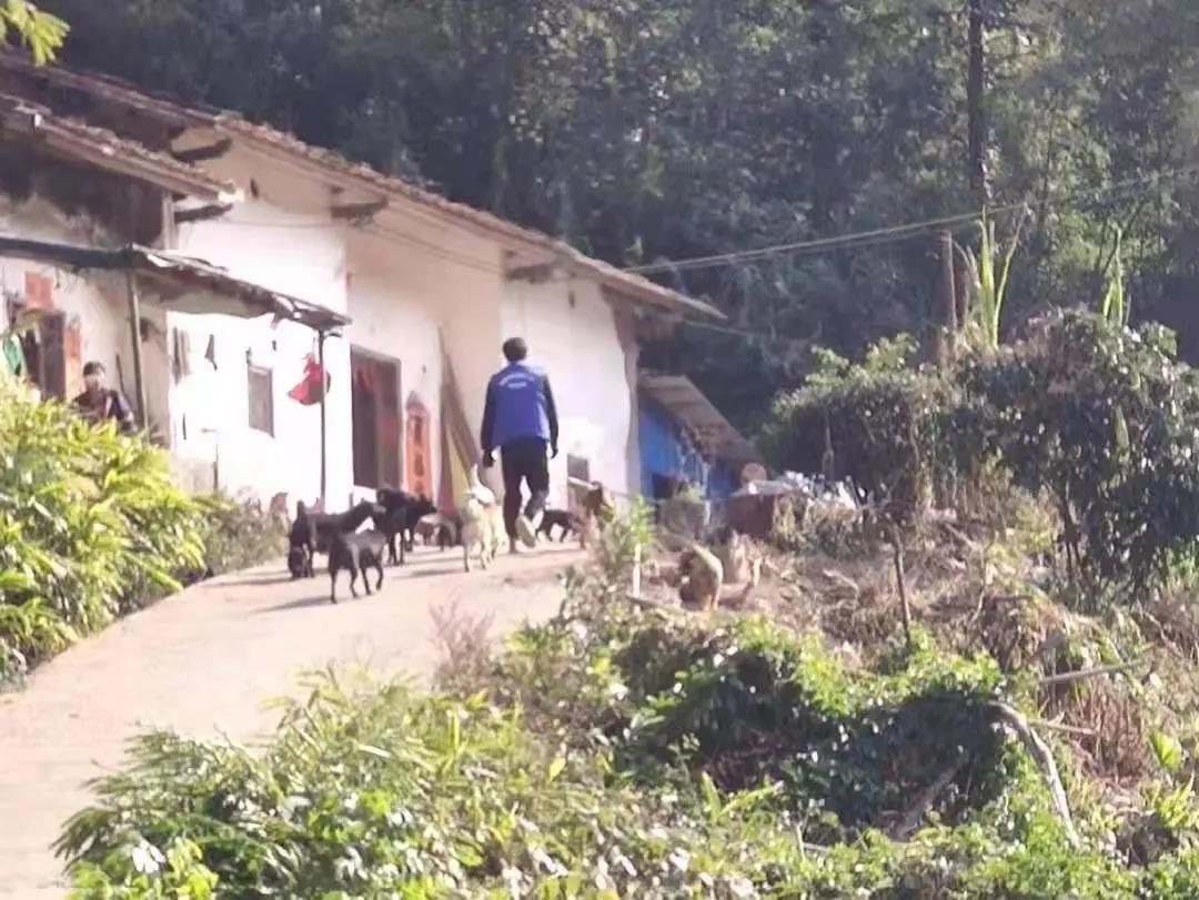 阳春房地一体项目纪实丨无悔青春多砥砺，，，最是奋斗感人心