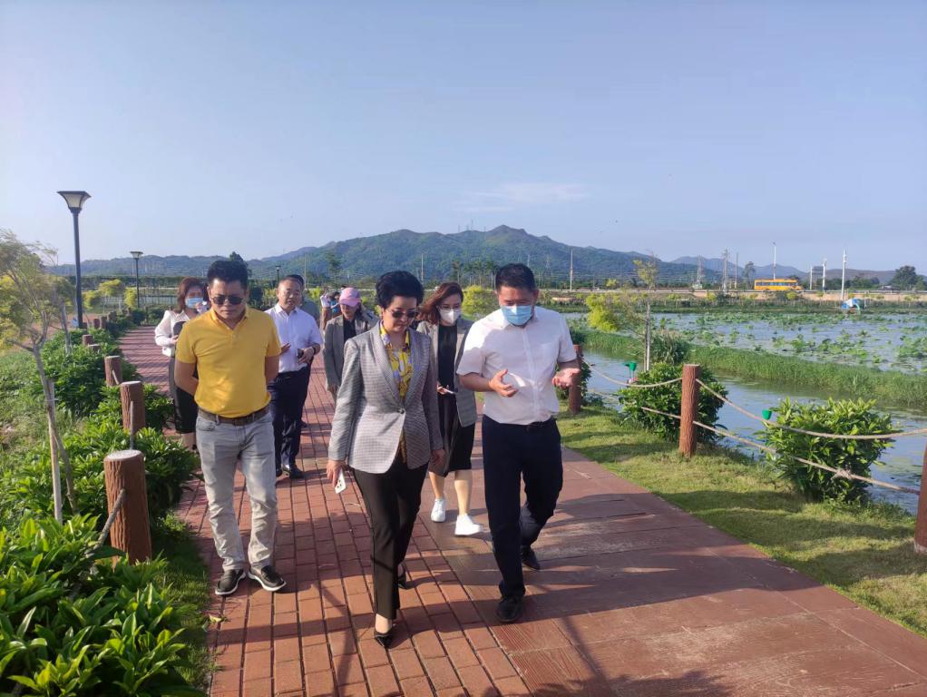 省生态修复协会轮值会长单位EMC易倍集团带队赴汕尾全域土地整治军民融合试点项目调研