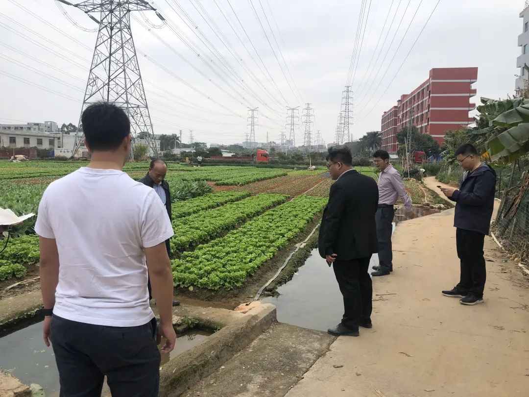 助力墟落振兴，EMC易倍一直在起劲！