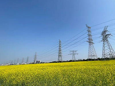 EMC易倍妄想丨央视点赞东莞厚街复耕良田盛开迎春花！