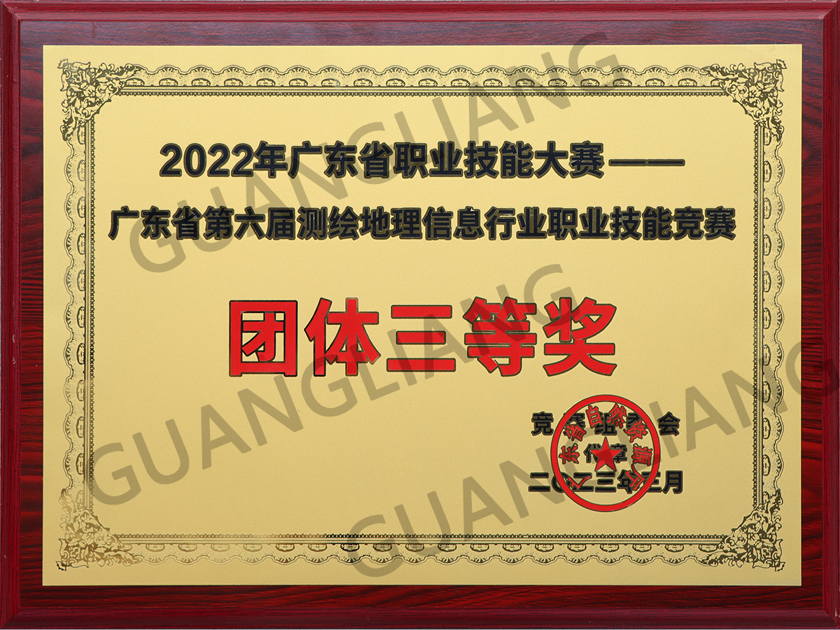 2022年广东省第届测绘地理信息行业职业手艺竞赛整体三等奖