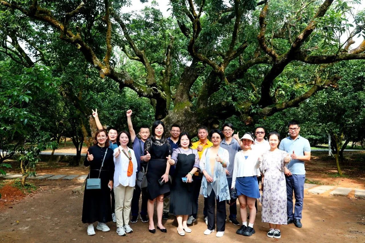 EMC易倍集团作为省领土空间生态修复协会轮值会长带队调研粤西全域土地综合整治事情