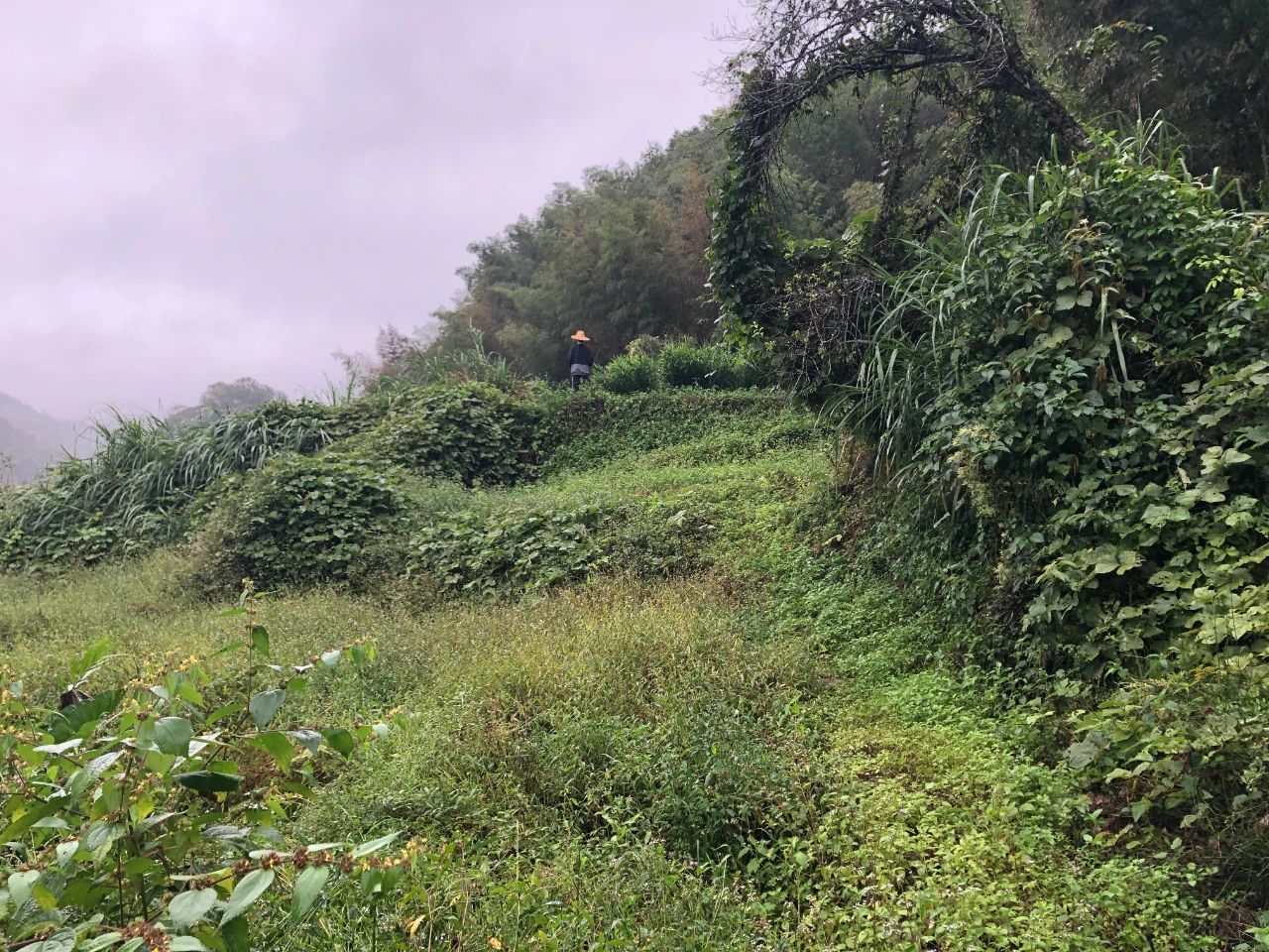 EMC易倍妄想 | 我司土地整治项目二次荣登央视，，荒地变良田，，智绘好丰景