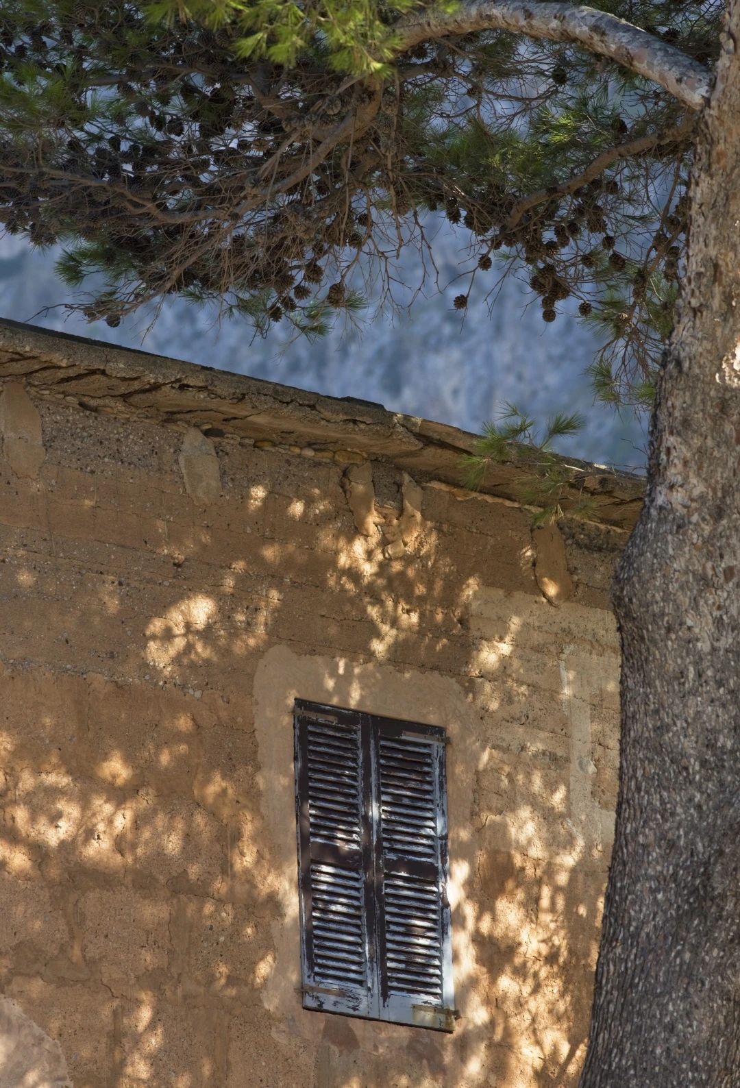 节日丨315特辑：给老屋子的情书！！