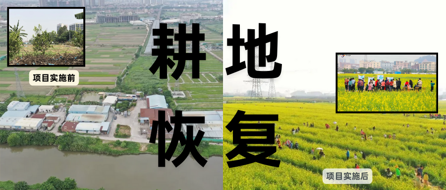 耕地；；；び刖每构踩凇甘泻窠终蛩谏缜读继锵钅扛鼗指从氤窍缛诤系牧⒁焓导