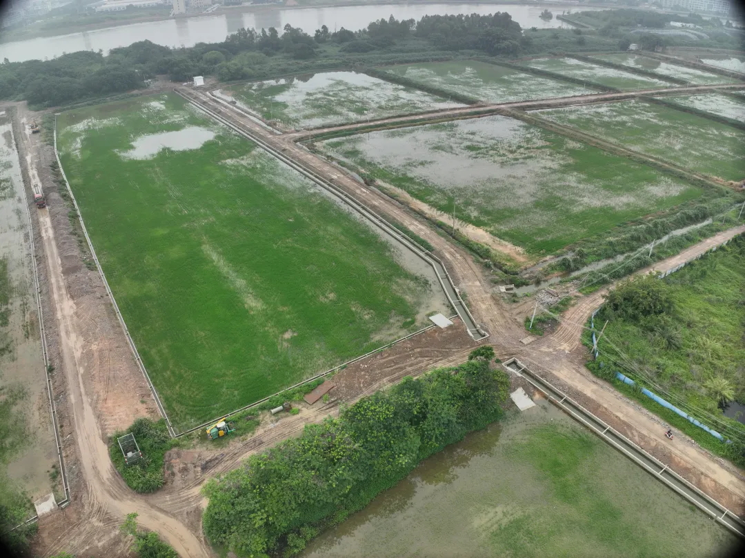 EMC易倍集团丨复耕道滘撂荒地，，绘就田园新图景