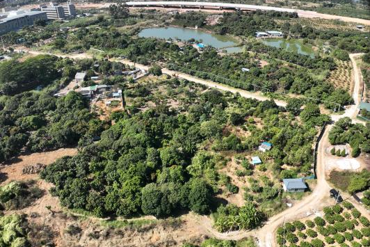 政策解读+实战案例！！广东永农纠错新政落地，EMC易倍助镇街破局耕地；