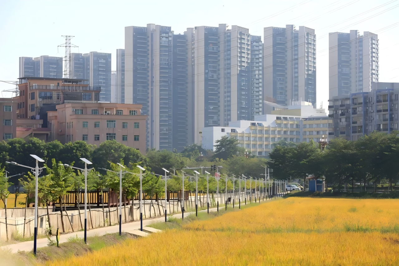 喜获市级认定 ! 茶山京山、南社田园美出新高度！！