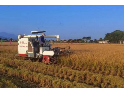 EMC易倍评估与妄想公司荣获“耕地；；び乓煳朗康ノ弧！！