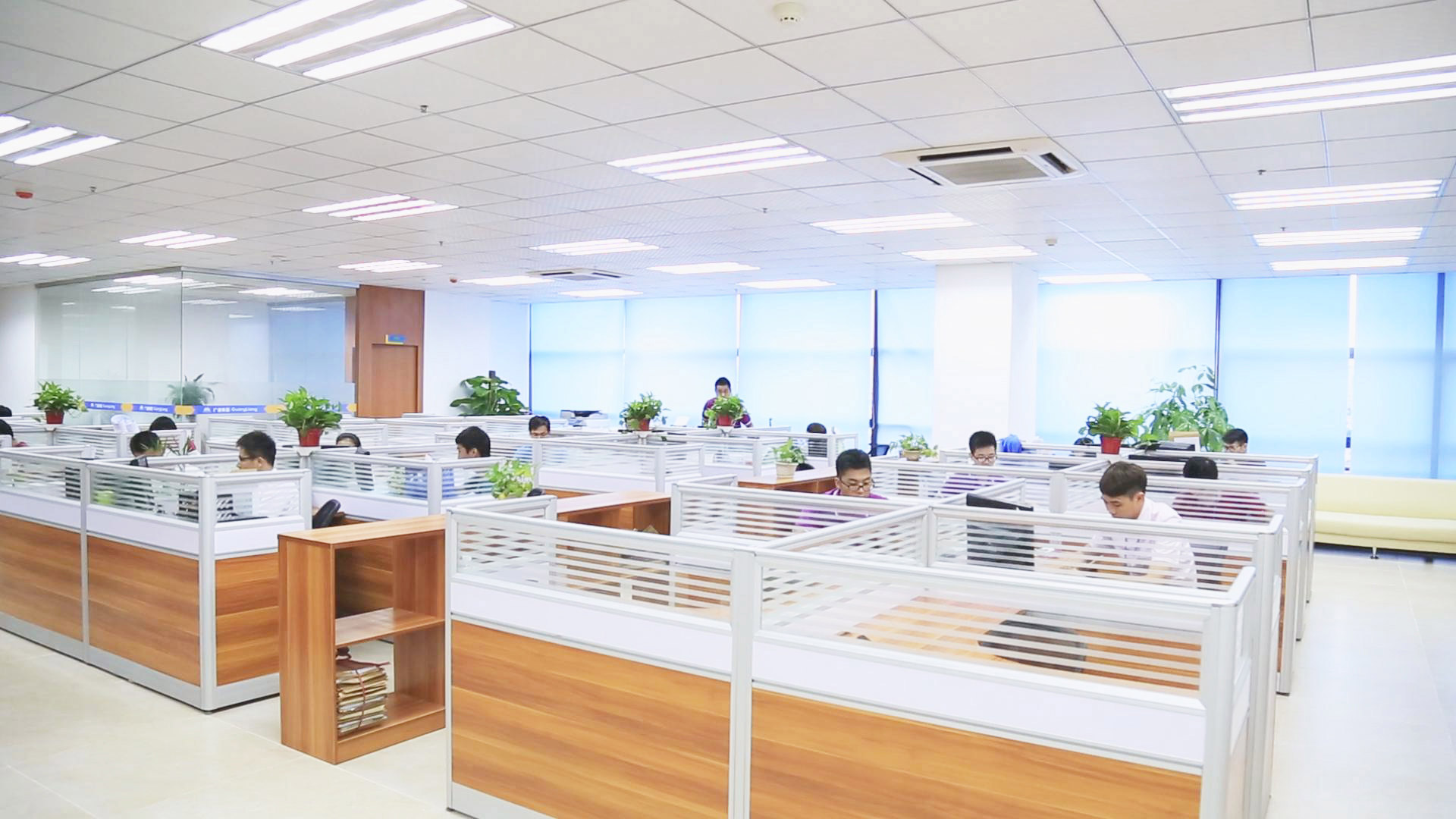 评估与妄想公司